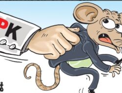 Terpidana Korupsi DPRD Tual Rp3,145 Miliar Ditangkap di Jawa Barat