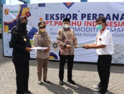 Dua Ton Damar Maluku Diekspor Ke Bangladesh