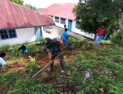 Babinsa Giat karbak pembersihan kebun jagung Dengan para Siswa-Siswi