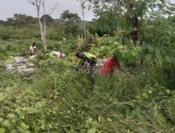 Babinsa Manfaat Lahan Kosong Menjadi Perkebunan Warga