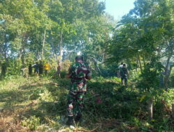 Seluruh Anggota Personil Lakukan Pembersihan Lingkungan Kodim 1511/Pulau Moa