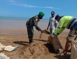Babinsa 1511-06/Wetar, Karya Bakti Bantu warga angkat Pasir