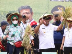 Gubernur Maluku Hadiri Panen Raya dan Lakukan Pencanangan IP Tipe 400
