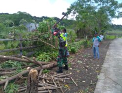 Babinsa Bersama Warga Gotong Royong Bersihkan Pohon Tumbang