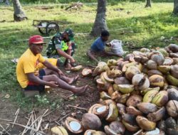 Babinsa Serka Baharudin, Bantu Warga Dalam Pembuatan Kopra