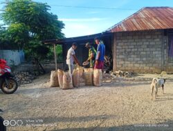 Peduli Warga Babinsa Koramil 1511-04/Serwaru, Bantu Angkat Pasir Di Wilayah Binaan