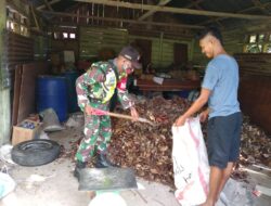 Babinsa Koramil 03/Tepa, Bantu Warga Timbang Kopra