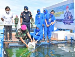 OPTIMALKAN KERAMBA JARING APUNG, LANTAMAL IX TEBAR BENIH IKAN