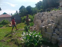Serda S.A.Rehiara Babinsa Koramil 1511-05/Wonreli, Bantu Warga Angkat Batako