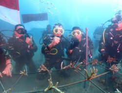 Lestarikan Ekosistem dan Biota Laut, Pangdam Pattimura Tanam Terumbu Karang di Dasar Laut Maluku