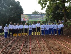 MEMANFAATKAN LAHAN DI MAKO LANTAMAL IX, BRIGJEN MAR SAID LATUCONSINA GIATKAN PROGRAM KETAHANAN PANGAN.