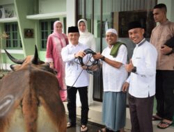 Korem 151/Binaiya Sembelih Sebanyak 6 ekor Hewan Kurban, Idhul Adha 1443 H