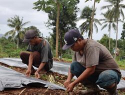 BRIGJEN TNI (MAR) SAID LATUCONSINA APRESIASI PETANI DUSUN KARANG-KARANG PENUH SEMANGAT MENGGARAP LAHAN LANTAMAL IX