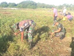 Gandeng Instasi Terkait, Koramil 1511-02/P.Masela Giat Karya Bakti