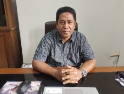 Satpol PP MBD Bakal Tertibkan Hewan Ternak yang Berkeliaran di Jalan Raya