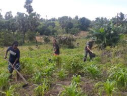 Babinsa Giat Karbak, Bantu Warga Buka Lahan Kebun