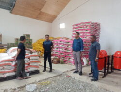 Cegah Kelangkaan Pangan, Komisi B DPRD MBD & Disperindagkop Tinjau Pengusaha Pengguna Tol Laut