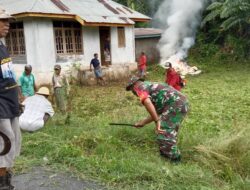 Babinsa Gotong Royong Pembersihan Rumdis Desa Nomaha Bersama Warga Binaan
