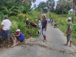 Peduli Lingkungan Bersih, Babinsa Bersama Warga Gontong Royong Bersihkan Rumput Kanan Kiri Bahu Jalan