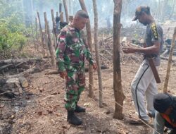 Giat Karbak, Babinsa Bantu Warga Pembauatan Pagar Kebun Jemaat