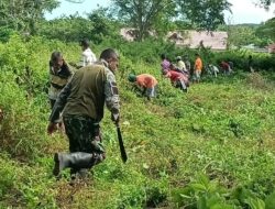 Personil Babinsa Koramil 1511-01/Tiakur, Giat Karbak Bersihkan Lahan Tanam Kelor Di Desa Patti