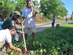 BABINSA-05/WONRELI BERSAMA PEMUDA SEKLASIS PULAU KISAR LAKUKAN PENANAMAN POHON KELOR