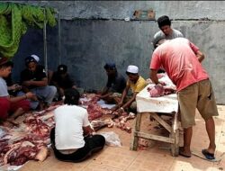 Rayakan Idul Adha ini Antusias, Sejumlah Masjid di Kota Ambon Sembelih Hewan Kurban