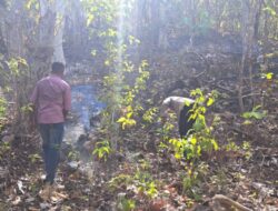 Polsek Serwaru Gerak Cepat Datangi Tempat Kejadian Kebakaran hutan dan Lahan Warga