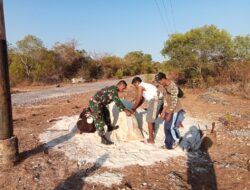 Semangat Gotong Royong, Babinsa Bantu Warga Angkat Material Pasir Dan Semen
