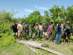 Danramil 1511-03/Tepa Pimpin Personel Giat Karbak, Penanaman Anakan Sukun Dan Jambu Mete Bersama Warga Binaan