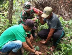 Babinsa Serda David, Ajak Warga Peduli Lingkungan Dengan Penanaman Pohon