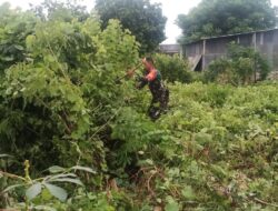 Bersama Warga, Babinsa Kerja Bakti Bersih Rumput Liar