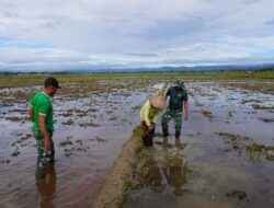 Satgas TMMD 1506/Namlea, Bantu Petani Rapikan Pematang Sawah