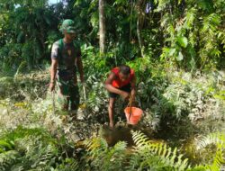 Berburu Belut, Pengalaman Baru Satgas TMMD Ke-120 Kodim 1506/Namlea