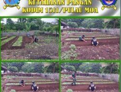 Babinsa Bantu Warga Pengecekan Tanaman Sayur dan Pembersihan Bedeng