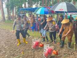 Polres SBB Ikut Penanaman Jagung Serentak Di Desa Hatusua