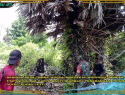 Babinsa Mordekay Woriwun Bantu Pembersihan Jaringan listrik di Pulau Leti