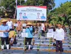Gubernur Lewerissa Tanam Cabai di SMK Pertanian Pembangunan