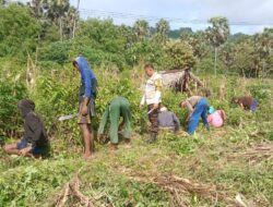 Bhabinkamtibmas Aipda Jennia Bantu Warga di Mdona Hyera Kembangkan Lahan Jagung dan Kacang