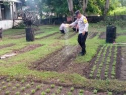 Polsek Tepa Pelihara Kualitas Tanaman, Dukung Penuh Ketahanan Pangan