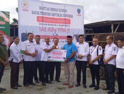 Pemkab MBD Serahkan Sapi Kurban Dari Presiden Prabowo