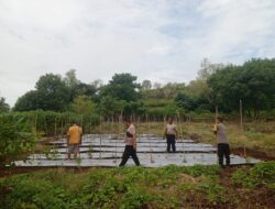 Langkah Inovasi Polsek Serwaru Bersama Warga Tani Dukung Program Ketahanan Pangan