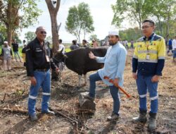 Perayaan Idul Adha 1446 H : Wujud Kepedulian dan Harmoni dari PT. BKP-BTR-Merdeka Copper & Gold untuk Masyarakat Wetar