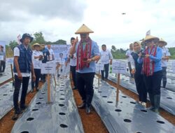 Gubernur Pimpin Gerakan Tanam 100 Ribu Anakan Cabai Serempak Untuk Tekan Inflasi
