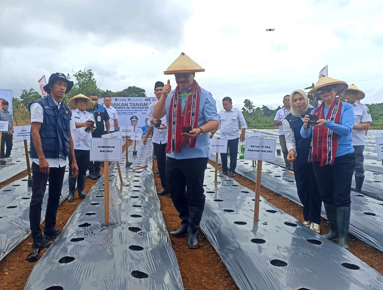Gerakan Tanam Cabai