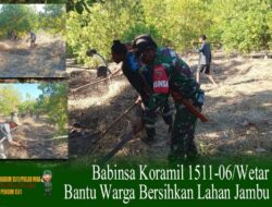 Babinsa Koramil 1511-06/Wetar,  Bantu Warga Bersihkan Lahan Jambu Mete
