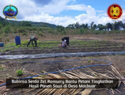 Babinsa Serda Zet Romsery, Bantu Petani Tingkatkan Hasil Panen Sawi di Desa Masbuar