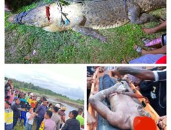 Jenazah Remaja Korban Serangan Buaya Ditemukan di Sungai Letahu