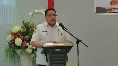 Satu Data Indonesia