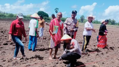 Kapolres MBD Tanam Jagung di Letti, Dukung Program Ketahanan Pangan